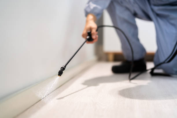 Licensed Cockroach Control service in Santa Fe, NM - Nex Pest Control